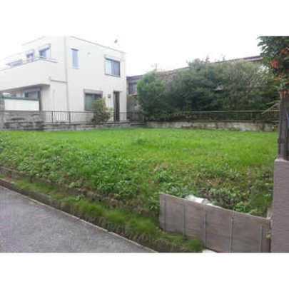 Local land photo. Local Photos