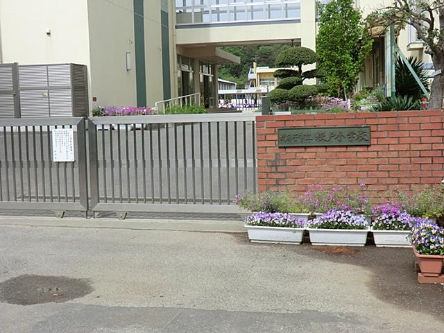 Primary school. Ned until elementary school 1050m