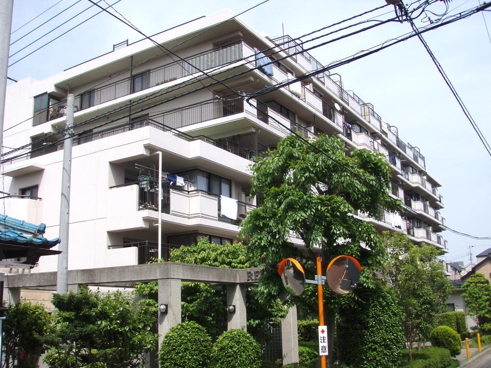 Local appearance photo