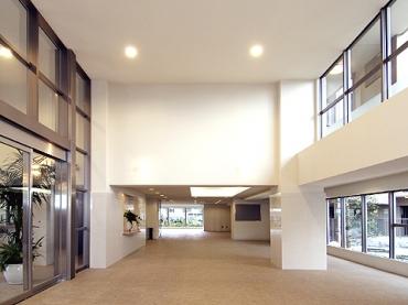 Entrance. A profound sense of entrance lobby