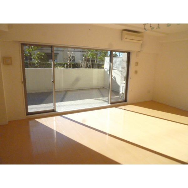 Living. Bright living room of southwestward