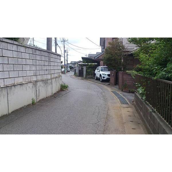 Local photos, including front road. Already paving