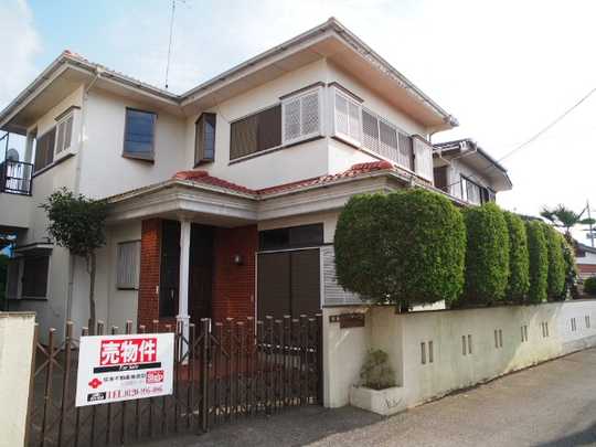 Local land photo. appearance