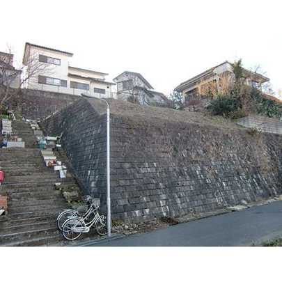 Local land photo. Local Photo 1