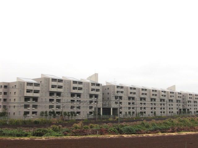 Local appearance photo. Local (September 2013) Shooting