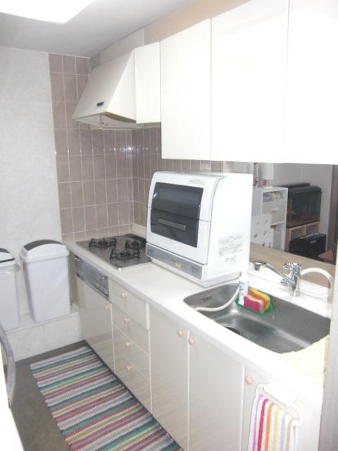 Kitchen. Indoor (10 May 2013) Shooting