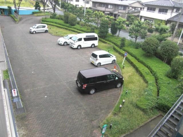 Parking lot. Common areas (visitor parking)