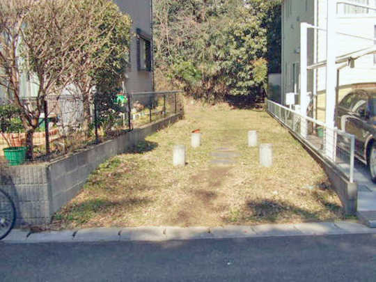 Local land photo. appearance