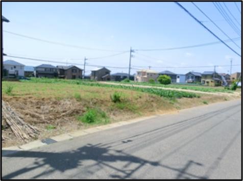 Local land photo. Local (June 2012) shooting