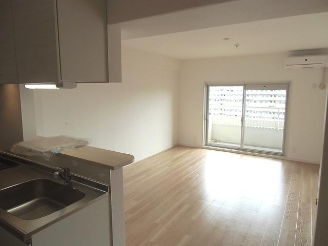 Living. Indoor (September 2013) Shooting