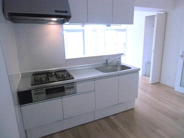 Kitchen. Indoor (September 2013) Shooting