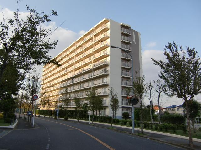 Local appearance photo. Local (11 May 2012) shooting