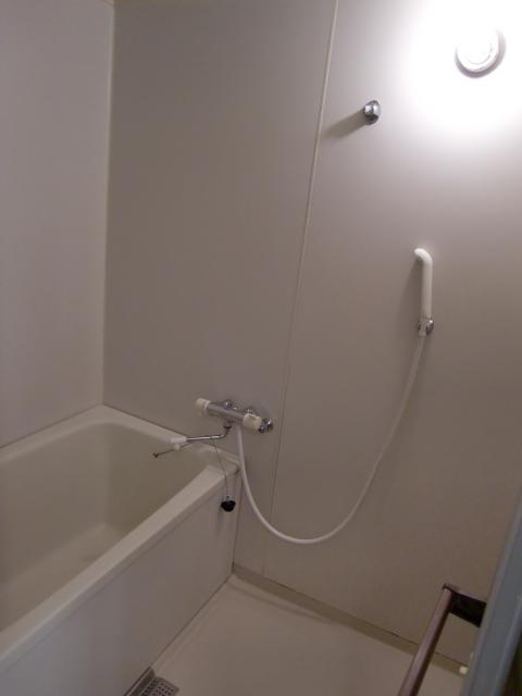 Bathroom. Indoor (11 May 2012) shooting