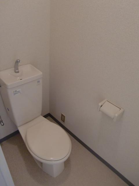 Toilet. Indoor (11 May 2012) shooting