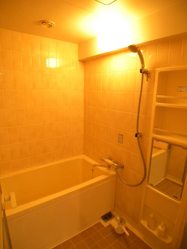 Bathroom. Local (12 May 2013) Shooting