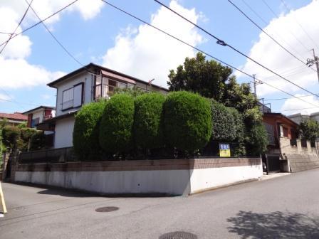 Other local. Local (August 2013) Shooting