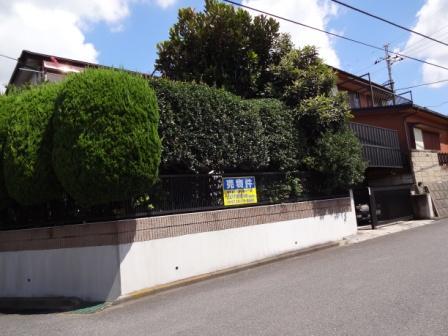 Other local. Local (August 2013) Shooting