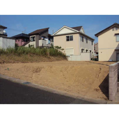 Local land photo. Appearance Photo 1