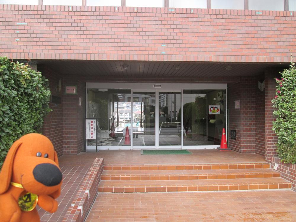 Entrance. Common areas