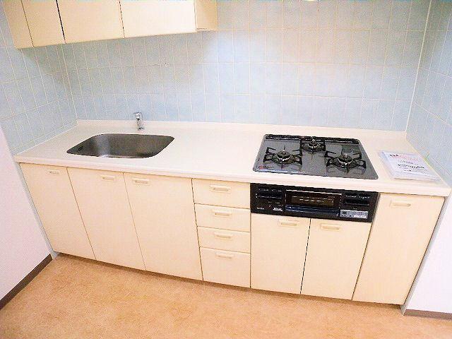 Kitchen. Indoor (September 2012) shooting