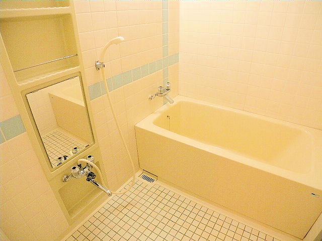 Bathroom. Indoor (September 2012) shooting