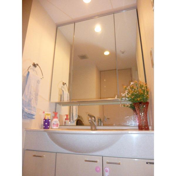 Wash basin, toilet. Storage capacity rich washbasin