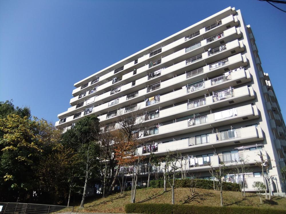 Local appearance photo. Local (11 May 2013) Shooting