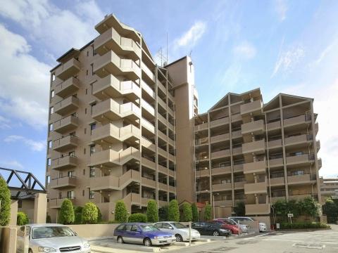 Local appearance photo. Local (11 May 2013) Shooting