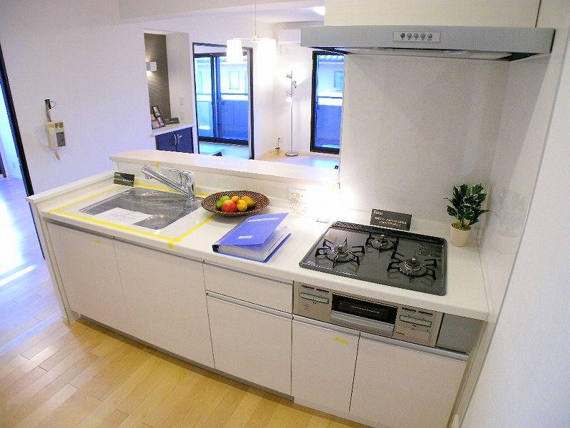 Kitchen. Indoor (12 May 2013) Shooting