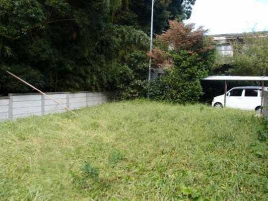 Local land photo. local