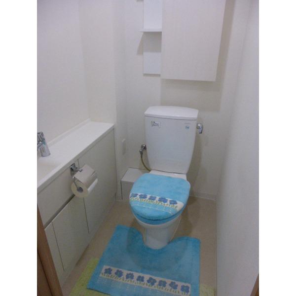 Toilet. For customers with hand-wash counter