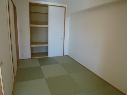 Other introspection. Indoor (12 May 2013) Shooting