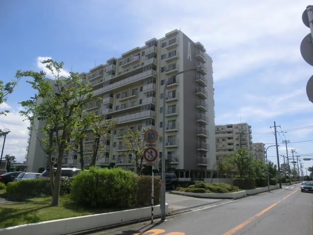 Local appearance photo. Local (September 2012) shooting