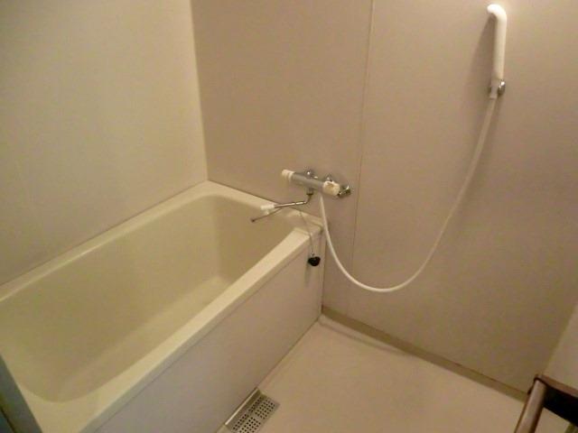 Bathroom. Indoor (September 2012) shooting