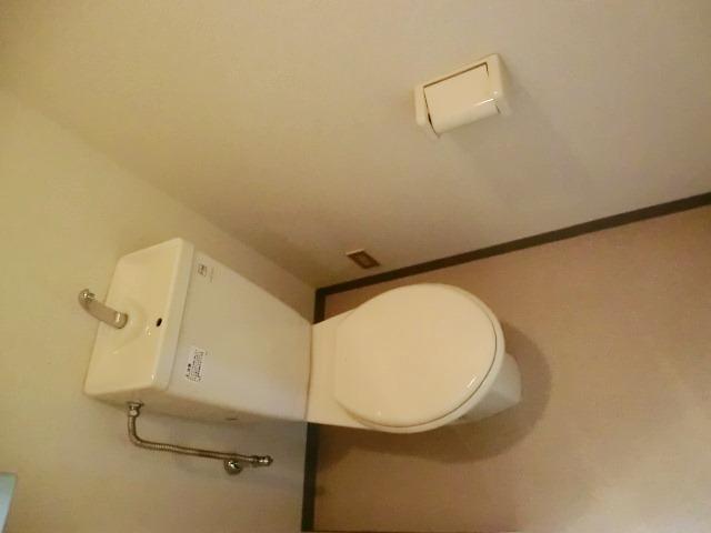 Toilet. Indoor (September 2012) shooting