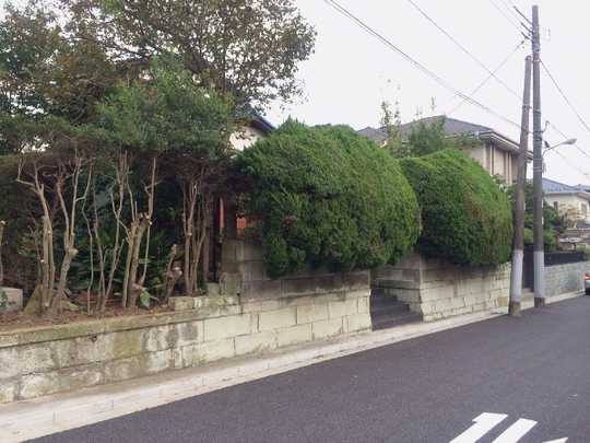 Local land photo. local