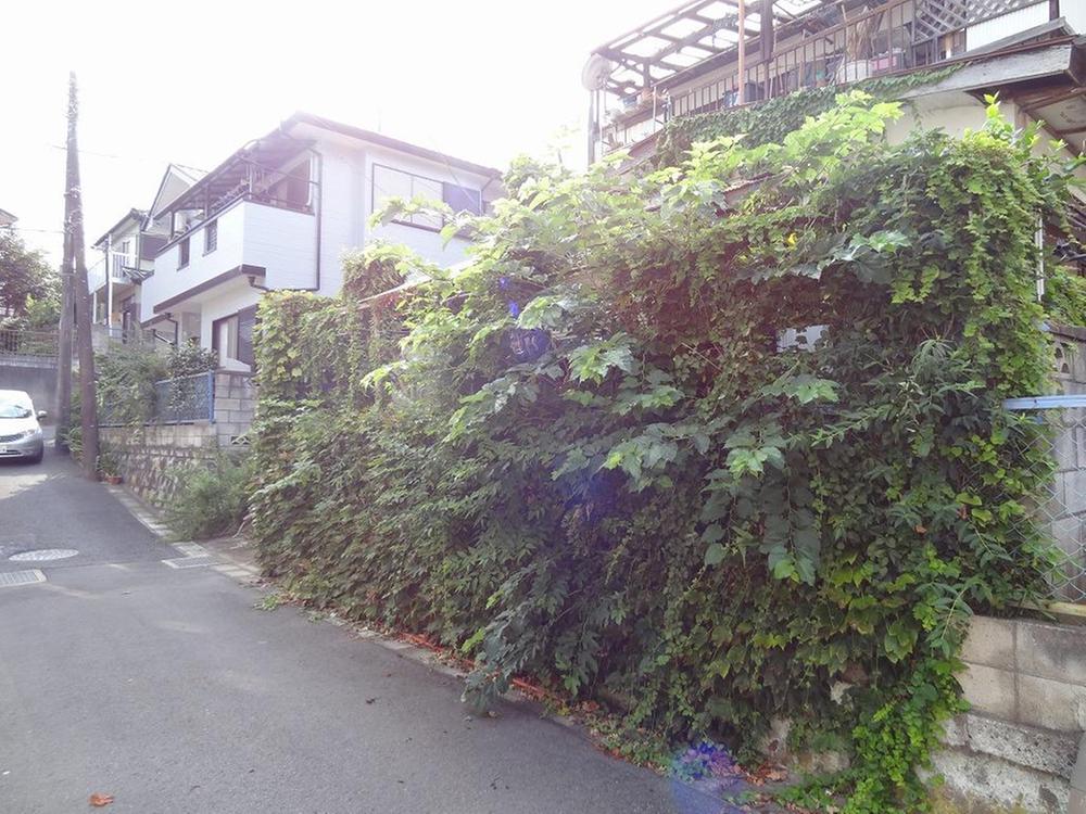 Local photos, including front road. Local (August 2013) Shooting