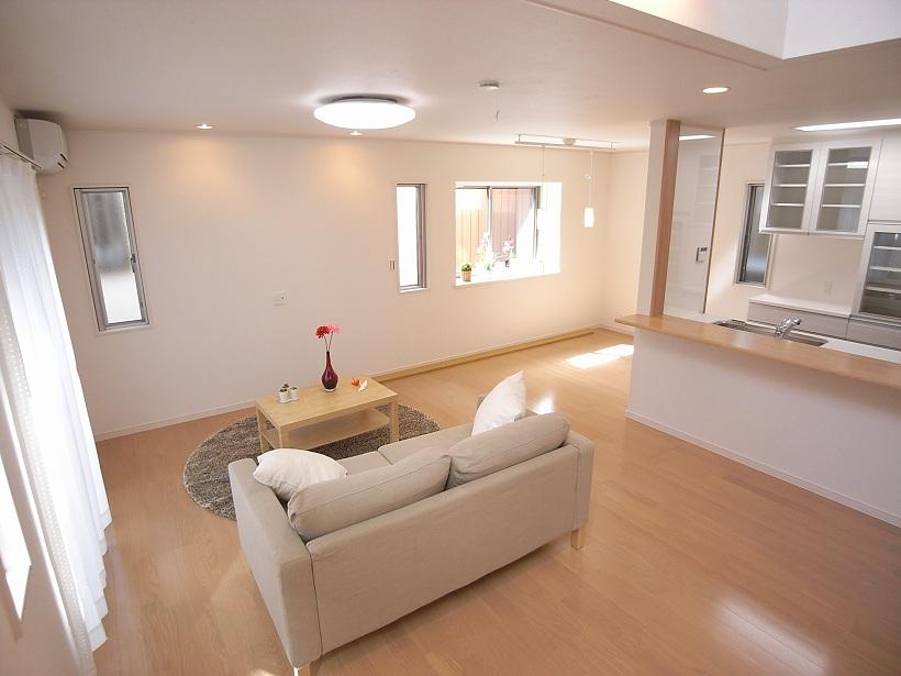 Building plan example (introspection photo). Building construction cases living