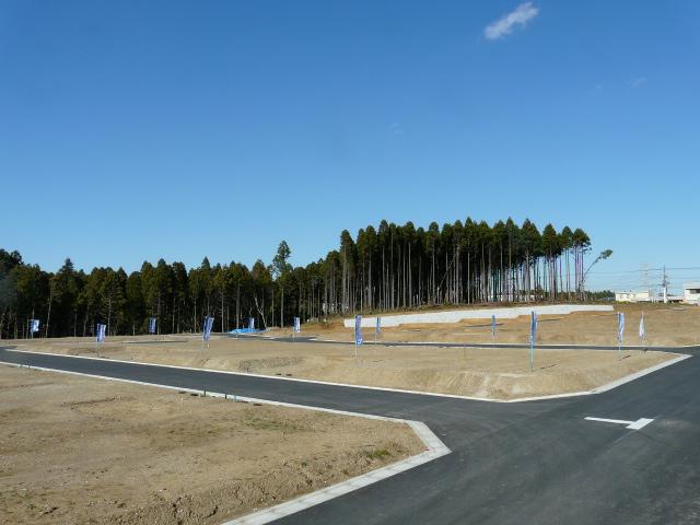 Local land photo. Local (11 May 2013) Shooting