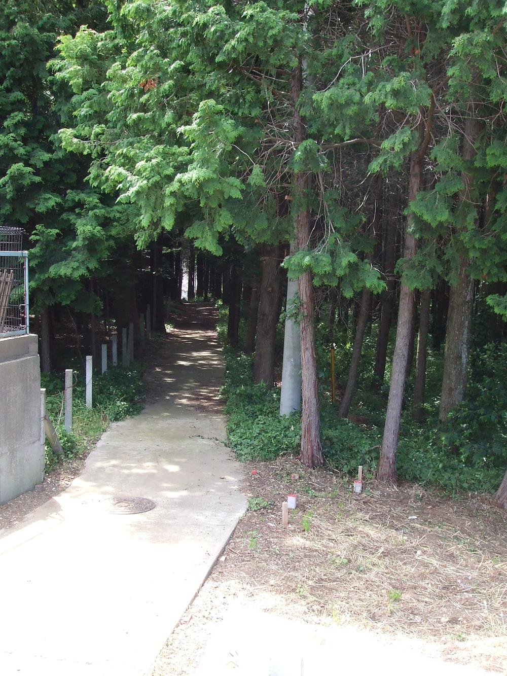 Other local. It is a photograph of the boardwalk adjacent to the southeast side of the local. (July 2013 shooting)