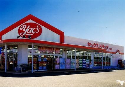 Drug store. Yakkusu 893m to drag Honchiba shop