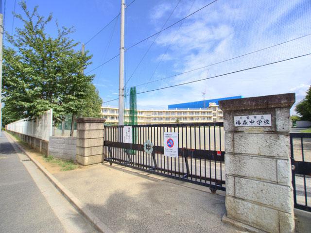 Junior high school. 1343m to the Chiba Municipal Tsubakimori junior high school