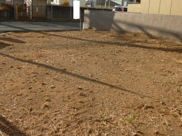 Local photos, including front road