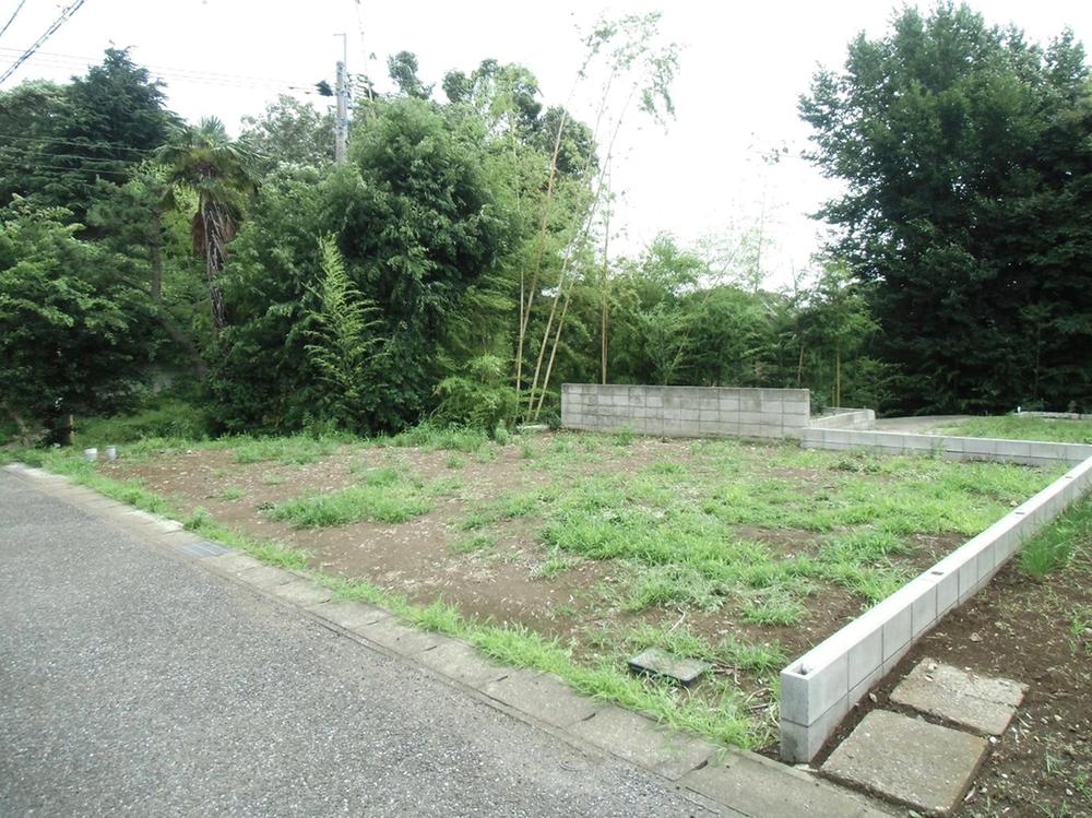 Local photos, including front road. Local (July 2013) Shooting