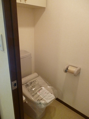 Toilet. Typical indoor photo. There is a convenient storage space in the toilet.