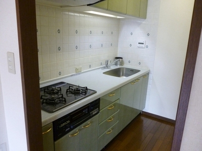 Kitchen. Typical indoor photo. Hide even when the sudden visitor independent type of kitchen