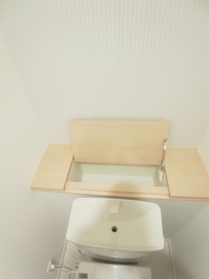 Toilet. At the top of the toilet, There is a storage space with a lid.