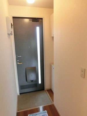 Entrance. Entrance with shoes BOX