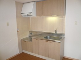 Kitchen. Nice kitchen brown.