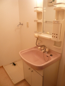 Washroom. Morning of dressing shampoo dresser